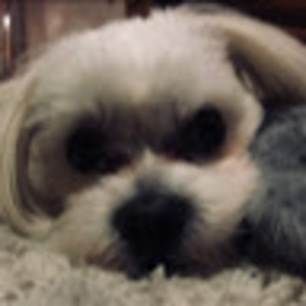 Meet your Posher, Ola